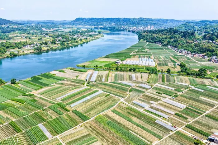 China-Launches-First-Open-Source-Crop-Protection-LLM-Green-Shield.jpg